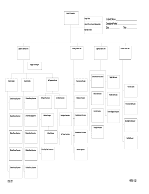 Ics Org Chart Fillable - Fill Online, Printable, Fillable ...