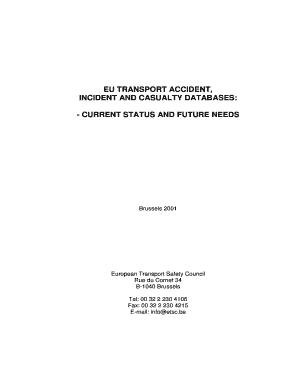 eu trans port accident incident and casualty databases current status and future needs form