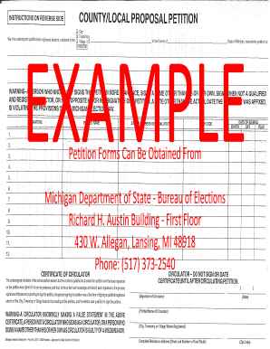 Form preview picture