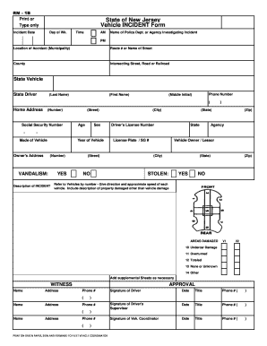 Form preview picture