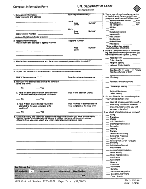 Form preview picture