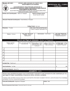 Form preview picture