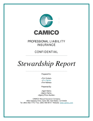 stewardship report template