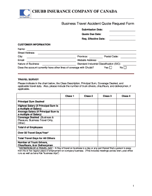 Business Travel Accident Application.doc