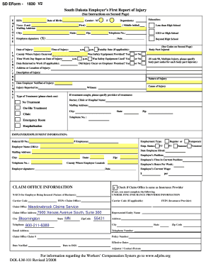 Form preview picture