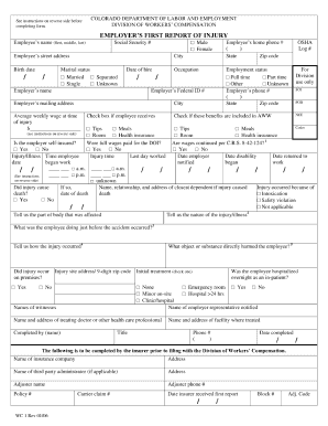 Employees report of injury form - colorado dol employers first report of injury form