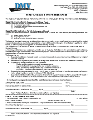 minor affidavit and information sheet