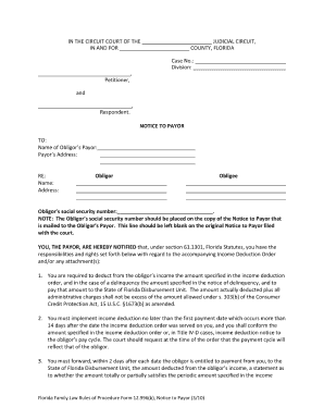 Affidavit form florida - notice to payor