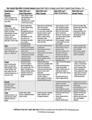 Class d and m road test score sheet - hess rigor matrix