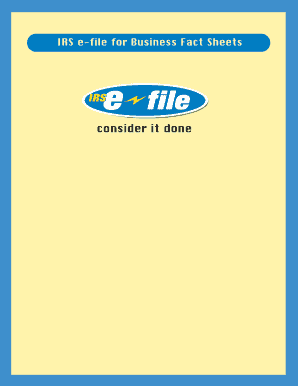 IRS Business Tax e-file Guide
