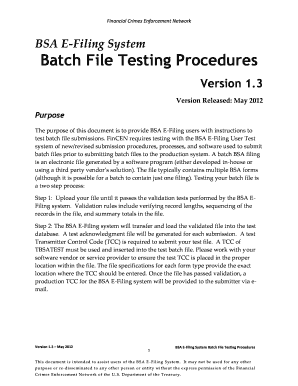 Bsa E Filing Discrete Fill Online Printable Fillable Blank