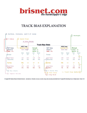 brisnetcom race summary form