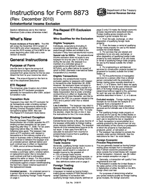 Instructions for Form 8873
