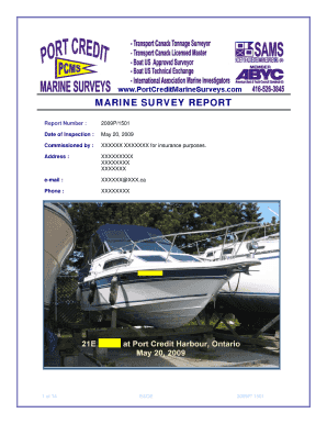 Example of a report - marine survey forms