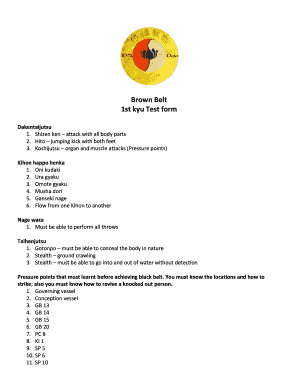 1st kyu brown belt test