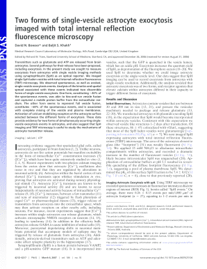 Two forms of single-vesicle astrocyte exocytosis imaged with total ... - pnas