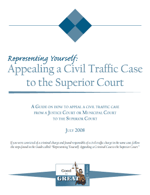 Appealing a Civil Traffic Case to the Superior Court