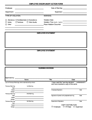 disciplinary write up form