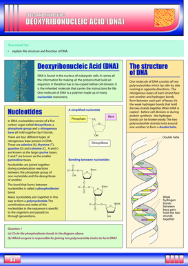 OCR unit 4 - cells and molecules - FINAL.qxd - 4science - 4science org