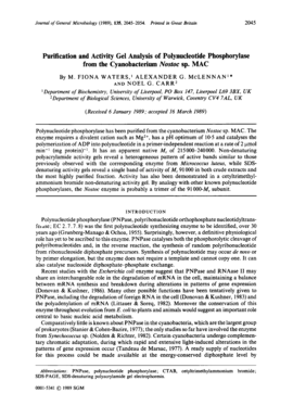 Purification and Activity Gel Analysis of Polynucleotide - Microbiology - mic sgmjournals