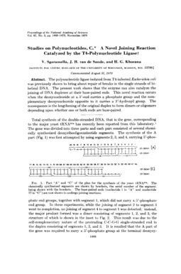 Studies on Polynucleotides, C.* A Novel Joining Reaction Catalyzed ... - pnas