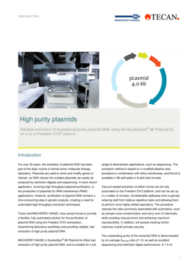 High purity plasmids