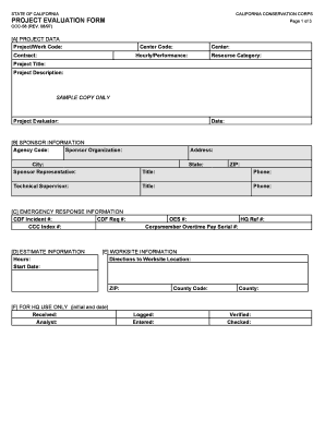 Form preview picture