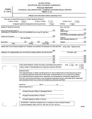 Form preview picture