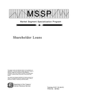 Shareholder Loan Audit Techniques Guide