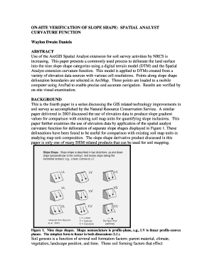 Form preview picture