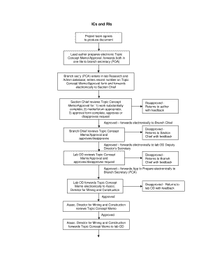 Ri flow chart form