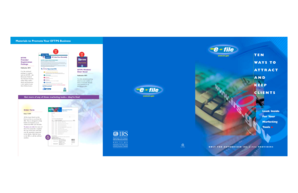 IRS EFTPS Provider Registration Form