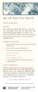 Foreign Bank Account Reporting Form