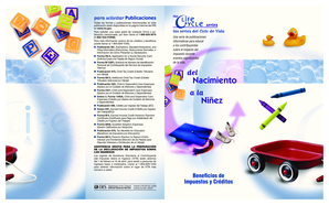 Publication 4156 (SP)