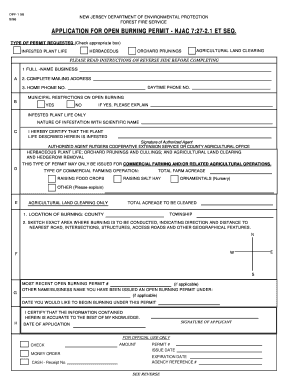 Form preview picture