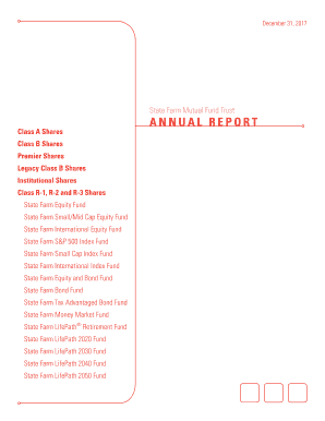 ANNUAL REPORT