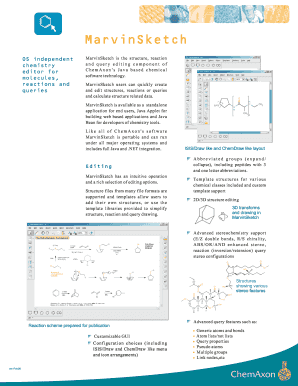 Form preview picture