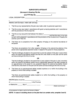 Surveyor's Affidavit Form A