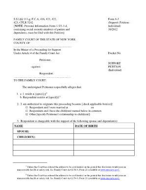 New York Support Petition Form 4-3