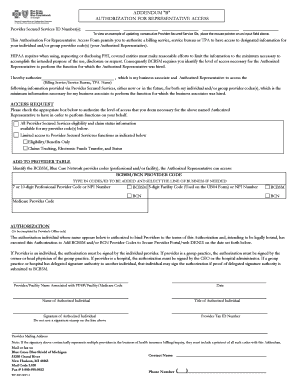 Authorization for Representative Access Addendum