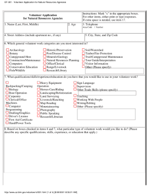 Form preview picture