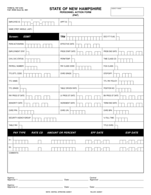 New Hampshire Personnel Action Form