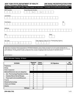 Form preview picture