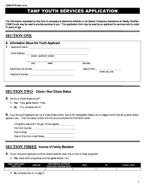 TANF Youth Services Application