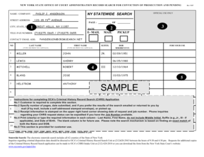 New York State Criminal History Record Search Application