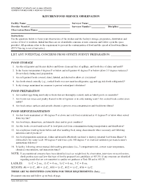 Kitchen Food Service Observation Form
