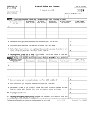 Schedule D (Form 1065) 2007