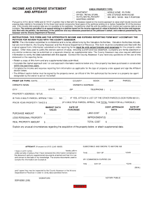 income and expense statement form