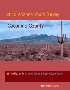 Printable guardianship forms - coconino county guardians report form