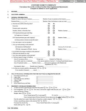 Form preview picture